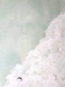 Faux Ciel
